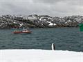 Rigid hull inflatable boat in bay with rocky short in background and penguin on snowy shore in foreground